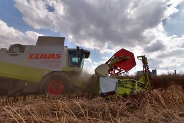 B  uerliches Land 2016 0116