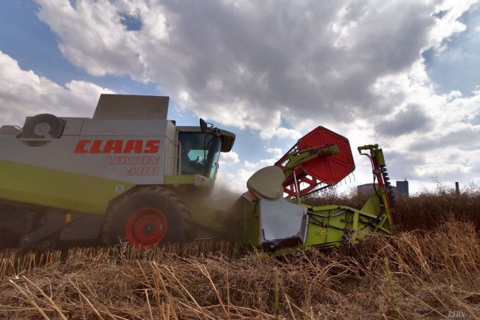 B  uerliches Land 2016 0116