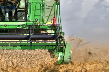 B  uerliches Land 2016 0251