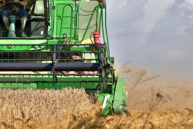 B  uerliches Land 2016 0251