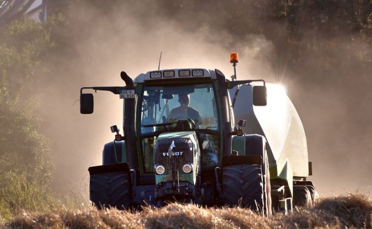 B  uerliches Land 2016 0548