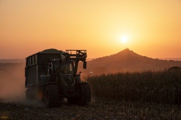 B  uerliches Land 2016 0811 