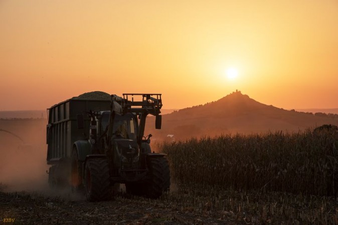 B  uerliches Land 2016 0811 