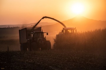 B  uerliches Land 2016 0812