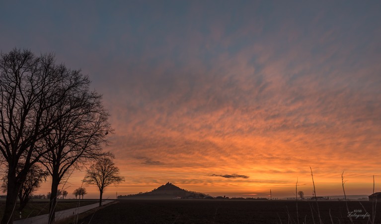 Desenberg Fr  hling 2017 0052